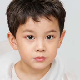 Neutral white child male with short  brown hair and brown eyes