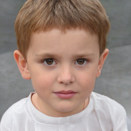 Neutral white child male with short  brown hair and brown eyes