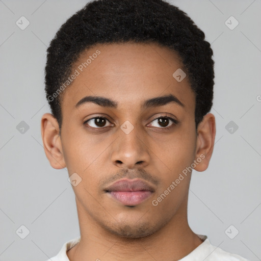 Neutral black young-adult male with short  black hair and brown eyes