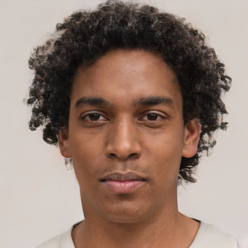 Neutral black young-adult male with short  brown hair and brown eyes
