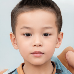 Neutral white child male with short  brown hair and brown eyes