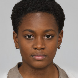 Neutral black young-adult female with short  brown hair and brown eyes