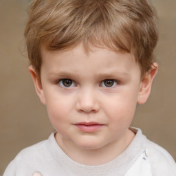 Neutral white child male with short  brown hair and brown eyes