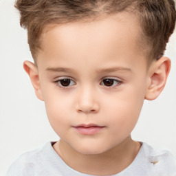 Neutral white child male with short  brown hair and brown eyes