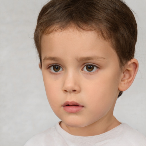 Neutral white child male with short  brown hair and brown eyes