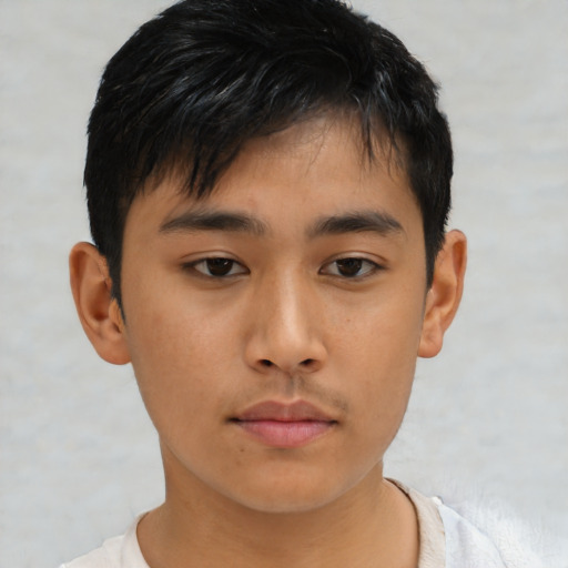 Neutral asian young-adult male with short  brown hair and brown eyes