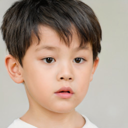 Neutral white child male with short  brown hair and brown eyes