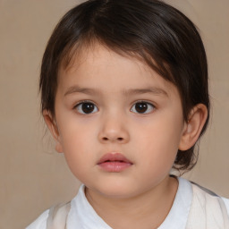 Neutral white child female with medium  brown hair and brown eyes