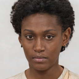 Neutral black young-adult female with short  brown hair and brown eyes