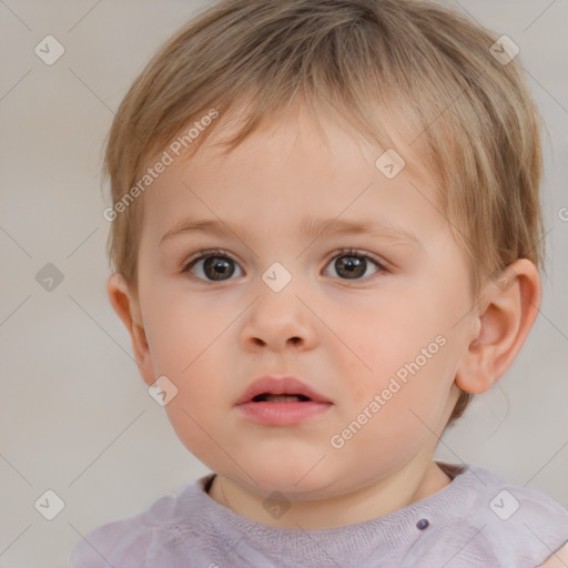 Neutral white child male with short  brown hair and brown eyes