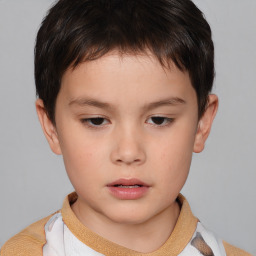 Neutral white child male with short  brown hair and brown eyes