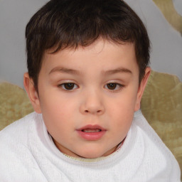 Neutral white child male with short  brown hair and brown eyes