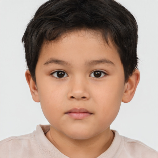 Neutral white child male with short  brown hair and brown eyes