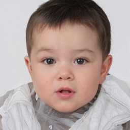 Neutral white child male with short  brown hair and brown eyes