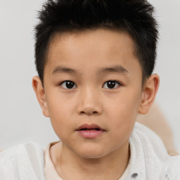 Neutral white child male with short  brown hair and brown eyes