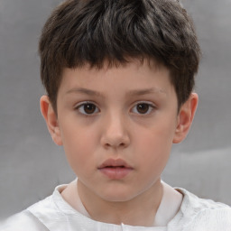 Neutral white child male with short  brown hair and brown eyes