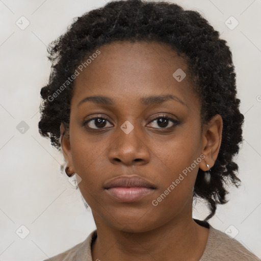 Neutral black young-adult female with short  brown hair and brown eyes