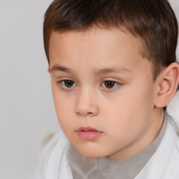 Neutral white child male with short  brown hair and brown eyes