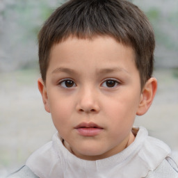 Neutral white child male with short  brown hair and brown eyes