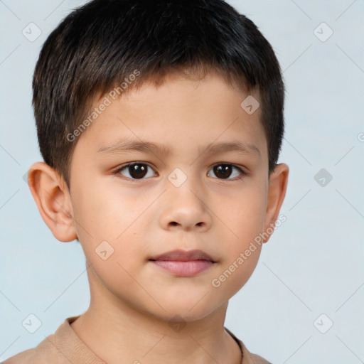 Neutral white child male with short  brown hair and brown eyes