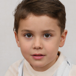 Neutral white child male with short  brown hair and brown eyes