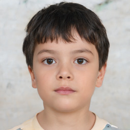 Neutral white child male with short  brown hair and brown eyes