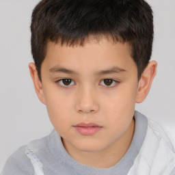 Neutral white child male with short  brown hair and brown eyes