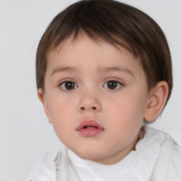 Neutral white child male with short  brown hair and brown eyes