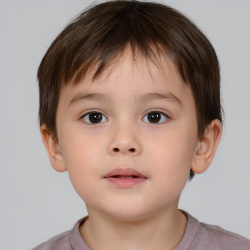 Neutral white child male with short  brown hair and brown eyes