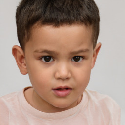 Neutral white child male with short  brown hair and brown eyes