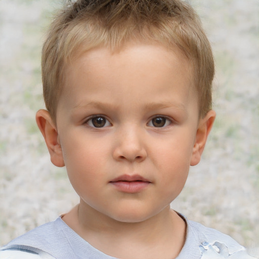 Neutral white child male with short  brown hair and brown eyes