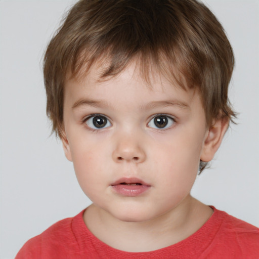 Neutral white child male with short  brown hair and brown eyes