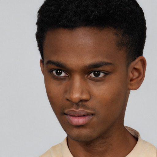 Neutral black young-adult male with short  black hair and brown eyes