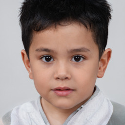 Neutral white child male with short  brown hair and brown eyes