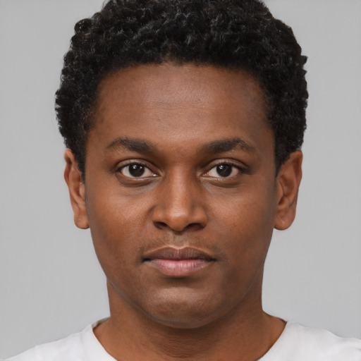 Neutral black young-adult male with short  black hair and brown eyes