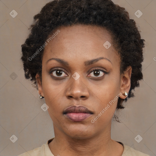 Neutral black young-adult female with short  brown hair and brown eyes