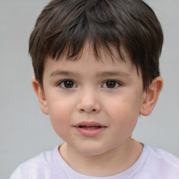 Neutral white child male with short  brown hair and brown eyes