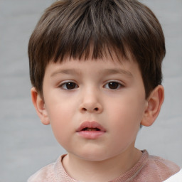 Neutral white child male with short  brown hair and brown eyes