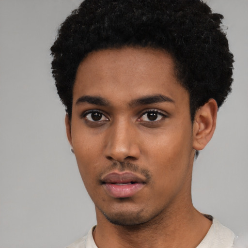 Neutral black young-adult male with short  black hair and brown eyes