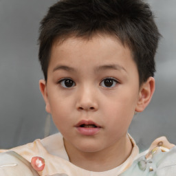 Neutral white child male with short  brown hair and brown eyes