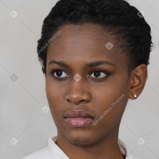 Neutral black young-adult female with short  black hair and brown eyes