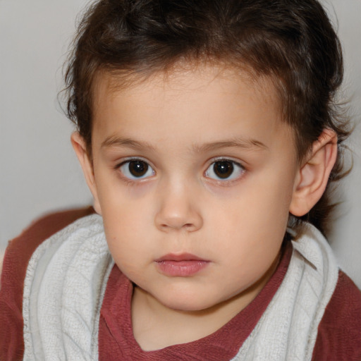 Neutral white child male with short  brown hair and brown eyes