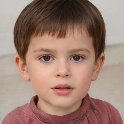 Neutral white child male with short  brown hair and brown eyes
