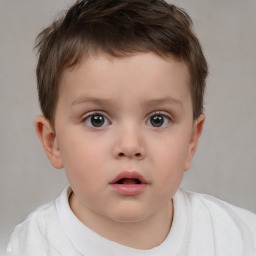 Neutral white child male with short  brown hair and brown eyes