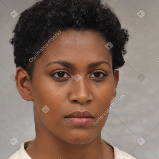 Neutral black young-adult female with short  brown hair and brown eyes