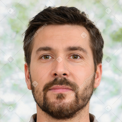 Neutral white young-adult male with short  brown hair and brown eyes