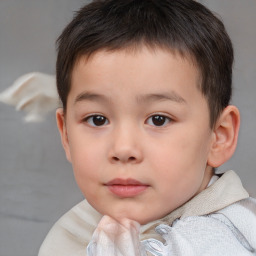 Neutral white child male with short  brown hair and brown eyes