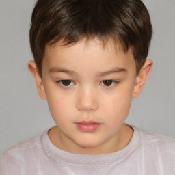 Neutral white child male with short  brown hair and brown eyes