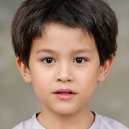 Neutral white child male with short  brown hair and brown eyes