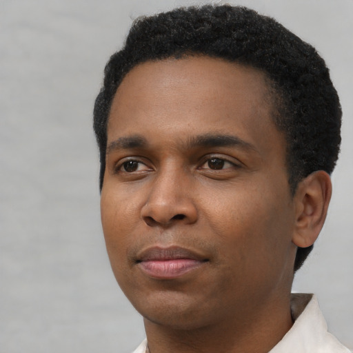 Joyful black young-adult male with short  black hair and brown eyes